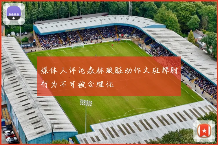 媒体人评论森林狼脏动作文班挥肘行为不可被合理化